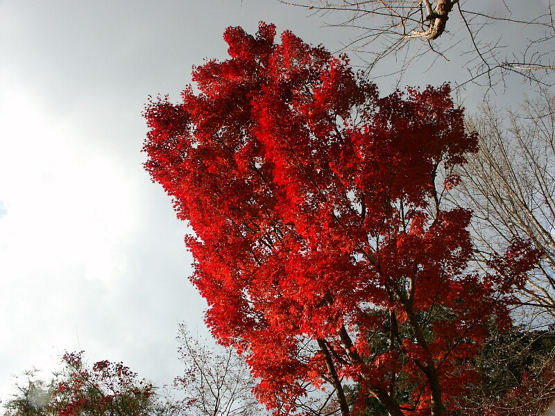 next
