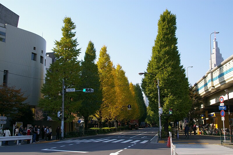 next